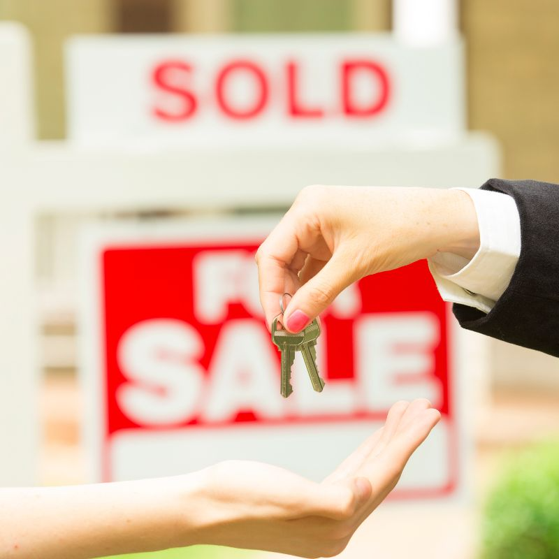 Maricely Alfaro | Selling Properties